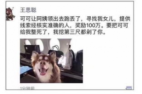 娱乐吃瓜酱救狗还是救人,救狗还是救人的道德抉择