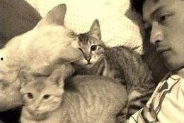 娱乐吃瓜猫张一张,揭秘娱乐圈背后的那些事儿